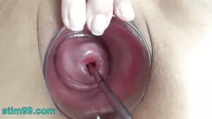 Догистайл видео с прекрасната Тейлър секс бг порно Сандс от Perfect Gonzo