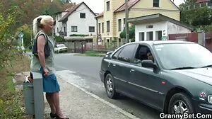 МЕА мелоне