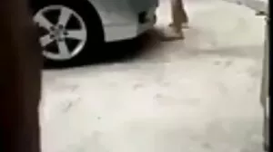 Тиа Клег